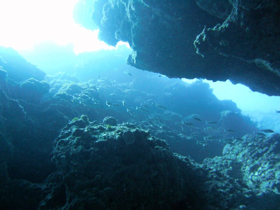 Cueva de Chopa Spot de Plongée Las Galeras Samaná